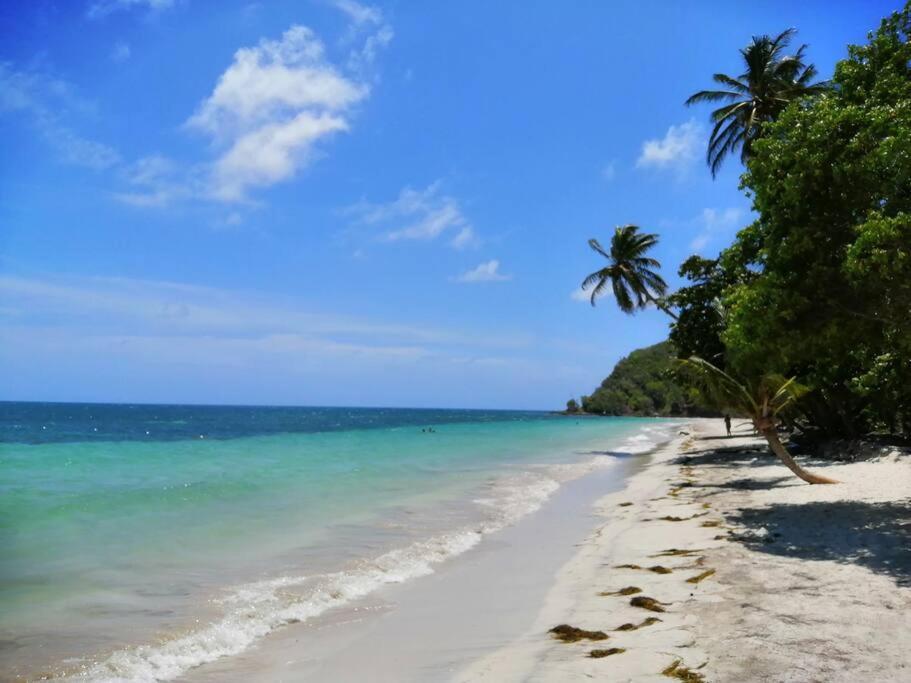 Mi Hermosa - Casa Islena A 70 Metros De La Playa Archibolds エクステリア 写真