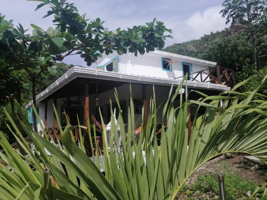 Mi Hermosa - Casa Islena A 70 Metros De La Playa Archibolds エクステリア 写真