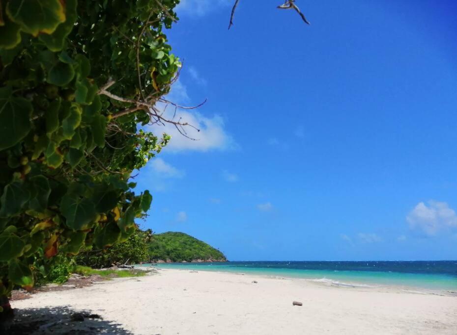 Mi Hermosa - Casa Islena A 70 Metros De La Playa Archibolds エクステリア 写真